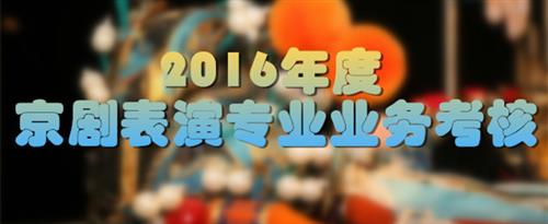 18禁骚逼美女国家京剧院2016年度京剧表演专业业务考...